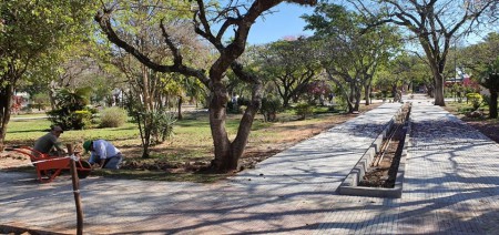 LORETO: La remodelación de la plaza avanza y embellece al Pueblo.