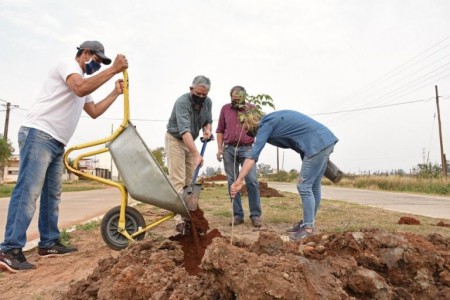 Libres:  Jornada de plantado de árboles en Avenida Jorge Newbery.