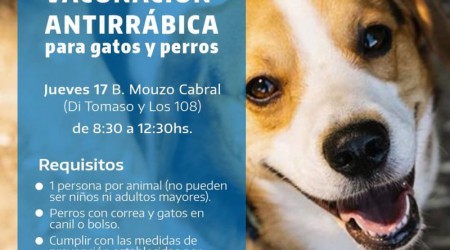 LIBRES: Vacunación para perros y gatos.