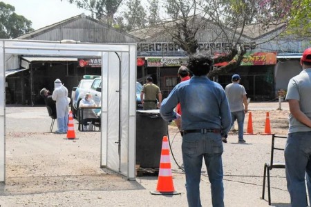 CORRIENTES:  Realizaron más de 300 hisopados en el Mercado de Concentración.