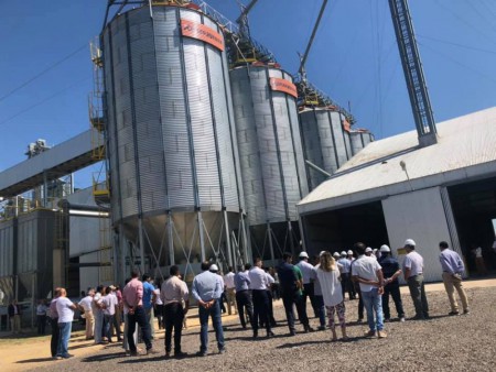 Una empresa de Corrientes exportará trigo directo a Brasil.