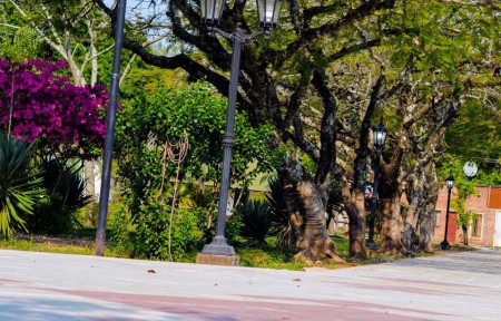 LORETO:  EL MUNICIPIO INVIERTA EN LA REMODELACIÓN DE LA PLAZA CENTRAL.