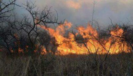 PROBLEMÁTICA EN CORRIENTES "Los bomberos tienen entre 6 y 8 salidas diarias por incendios"