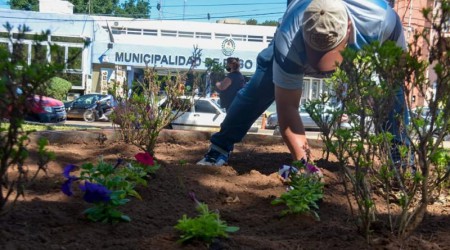 LIBRES:Jornada de plantado en plaza Independencia.