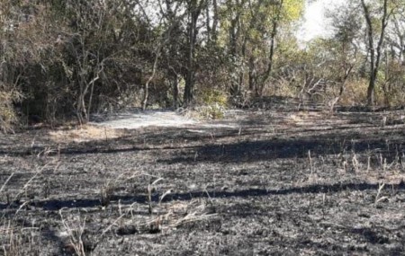 Incendio de campos en El Sombrero: Algunos focos siguen prendidos por efecto del viento.