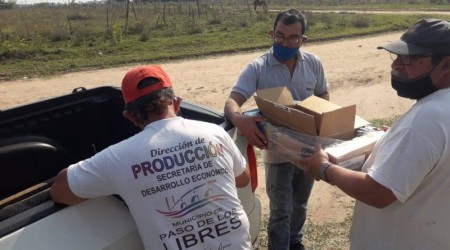Paso de los Libres: Se entregaron pollos bb a productores familiares