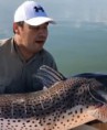 Gustavo Valdés devolvió un impresionante surubí al rio Paraná.