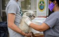 Mascotas saludables llegó al barrio Pirayuí Nuevo con múltiples servicios gratuitos.