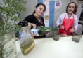 El "Karaí" Agosto en Corrientes y el ritual de beber caña con ruda.