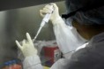 Corrientes registra 19 casos nuevos de Coronavirus: 12 son de Capital y 7 del Interior.